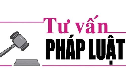 Luật sư Bùi Thanh Vũ tư vấn pháp luật