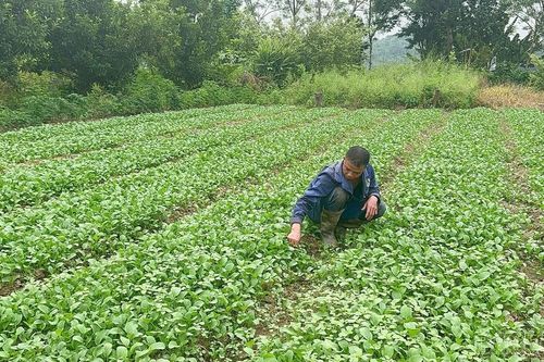 Công bố kết thúc tình huống khẩn cấp về thiên tai trên địa bàn tỉnh Lào Cai