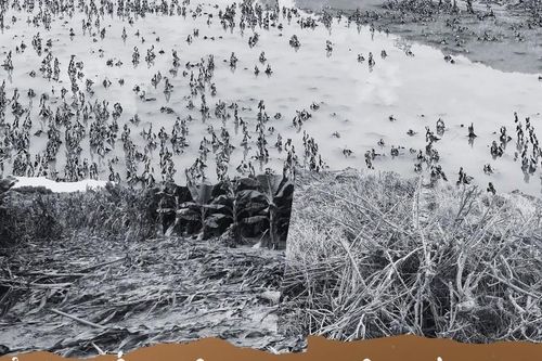 Sản xuất nông nghiệp Lào Cai: 'Lao đao' sau bão số 3