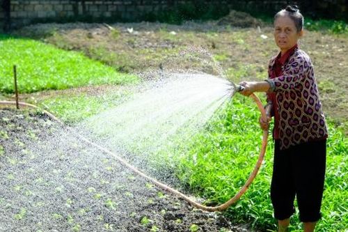 Cát Tiên: Nông thôn mới, diện mạo mới, sức sống mới