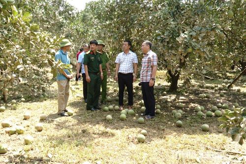 Ban vận động cứu trợ tỉnh phân bổ 1 tỷ đồng giúp nhân dân khắc phục hậu quả do thiên tai