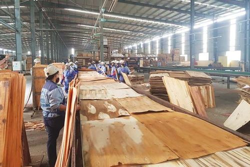 Tiếp tục tạm ngừng chuyển khẩu, tạm nhập gỗ dán vào Việt Nam để tái xuất sang Hoa Kỳ