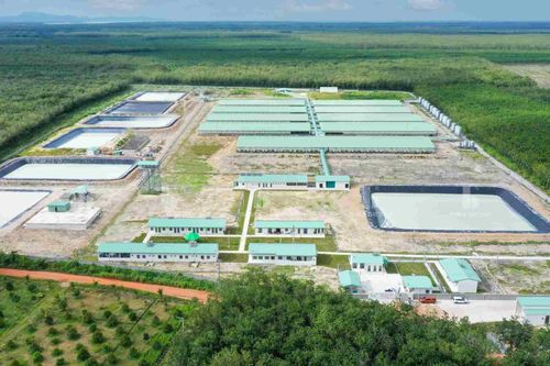 BaF Việt Nam (BAF) muốn chào bán riêng lẻ 65 triệu cổ phiếu, tăng vốn vượt 3.000 tỷ đồng
