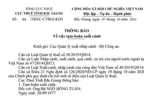 Giám đốc Công ty CP Thương mại Sơn Thạch bị hoãn xuất cảnh