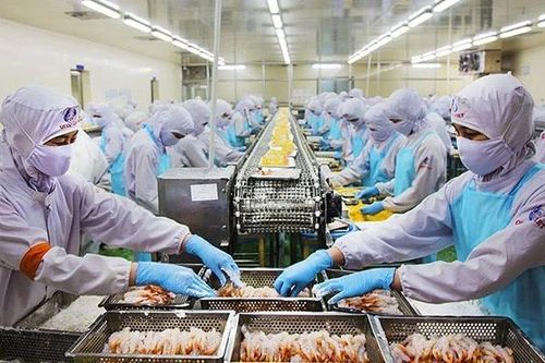 Cà Mau: Tăng cường kết nối, giao thương với các doanh nghiệp quốc tế