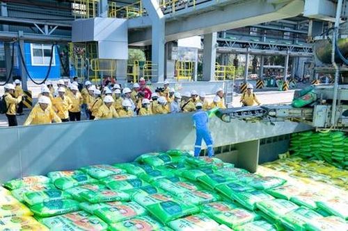 Doanh nghiệp phân bón chờ 'làn sóng' thuế VAT để bứt tốc