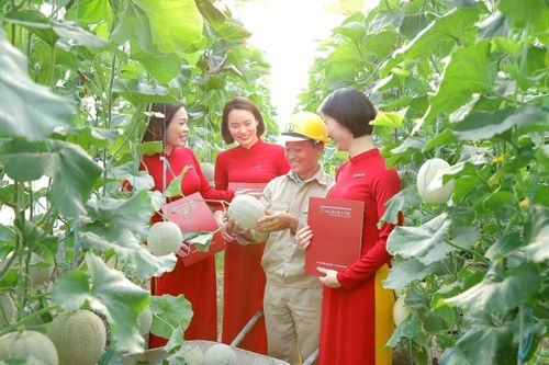Agribank chung tay mang mái ấm cho đồng bào