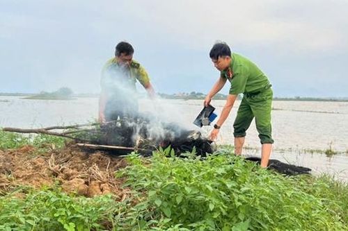 Khó xử lý triệt để nạn tận diệt chim trời tại nơi có vùng đầm phá lớn nhất Đông Nam Á, vì sao?