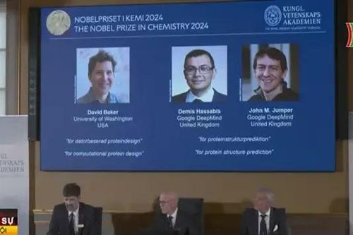Giải Nobel Hóa học 2024 vinh danh những nghiên cứu tiềm năng