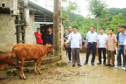 Thúc đẩy ứng dụng khoa học công nghệ trong sản xuất và đời sống