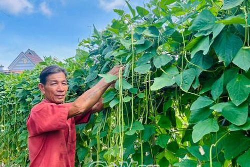 Còn sức khỏe là còn lao động