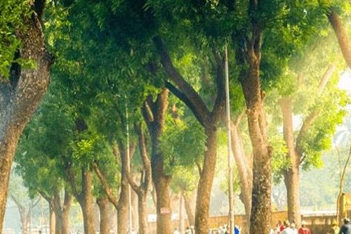 Bắc Bộ sáng sớm có sương mù, ngày nắng khô hanh