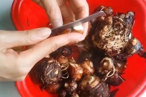Đây mới là cách gọt khoai sọ nhanh, không bị ngứa mà lại cực sạch, đơn giản