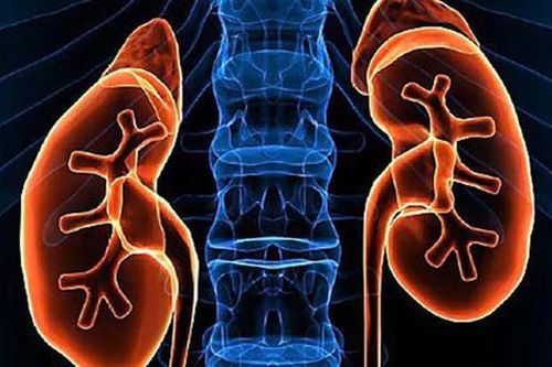 Các thuốc điều trị Hội chứng thận hư ở người lớn