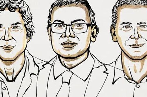 Nobel Hóa học 2024 vinh danh các nhà khoa học tiên phong về protein