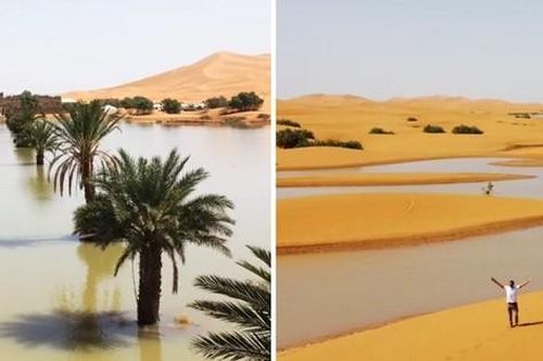 Sa mạc Sahara bất ngờ ngập lụt vì mưa dông, hồ cạn khô 50 năm giờ đầy nước