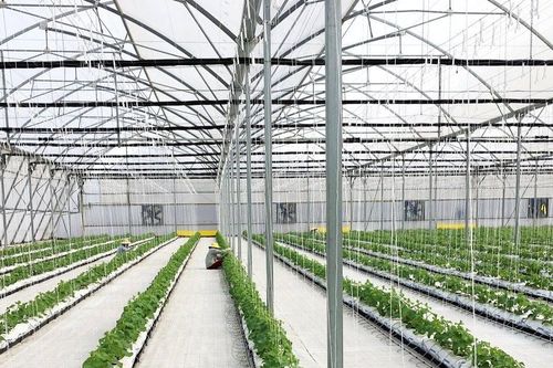 'Chìa khóa' của nền nông nghiệp bền vững