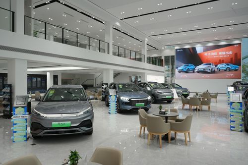 Ồ ạt vào Việt Nam, dịch vụ hậu mãi của các hãng xe Trung Quốc thế nào?