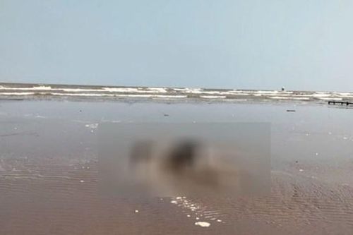Thái Bình: phát hiện thi thể nam giới trên bờ biển Cồn Vành