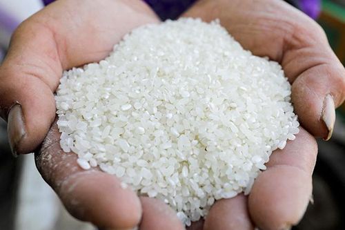 Ấn Độ thúc đẩy xuất khẩu trở lại tác động mạnh đến giá gạo