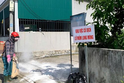 Công bố dịch bệnh lở mồm long móng trên gia súc tại 4 xã ở Hà Tĩnh