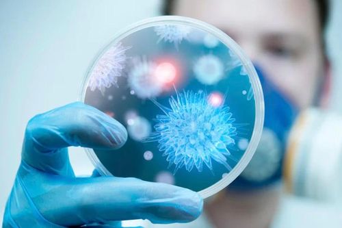 AI phát hiện hơn 160.000 loại virus mới