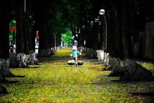 10 khoảnh khắc khiến Hà Nội đẹp đến nao lòng