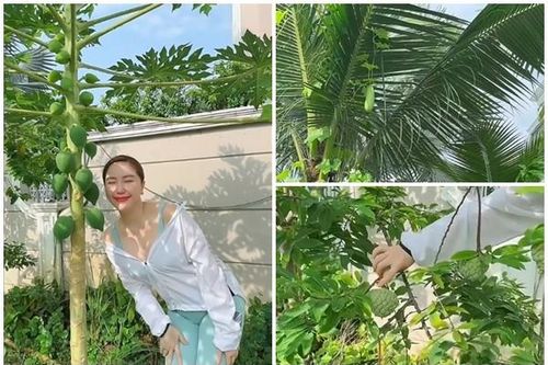 Khu vườn mini ngập rau trái trong biệt thự của Bảo Thy