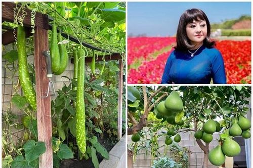 Cận cảnh nhà vườn 1.000m2 tại Mỹ của danh ca Hương Lan
