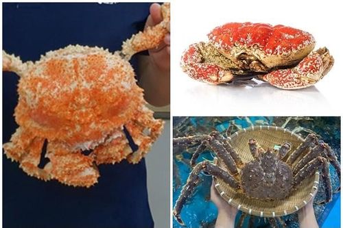 3 loại cua nhập khẩu 'Làm mưa làm gió' thị trường Việt