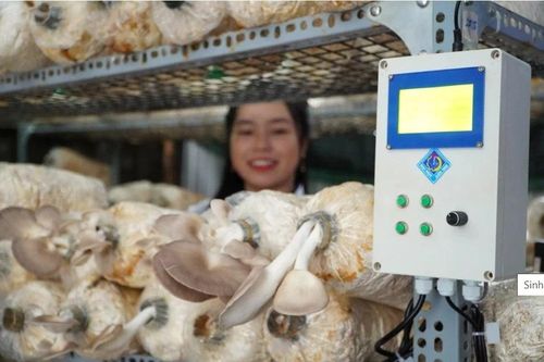 Nhóm sinh viên sáng chế thiết bị kiểm soát môi trường trồng nấm