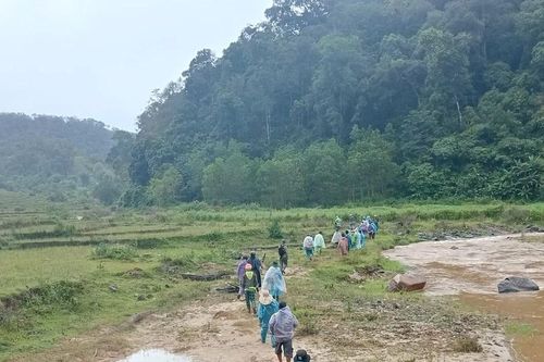 Hơn trăm người tìm kiếm người phụ nữ lạc trong rừng ở Kon Tum