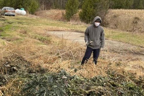Tìm bị hại trong vụ án lừa đảo xuất khẩu lao động sang Canada