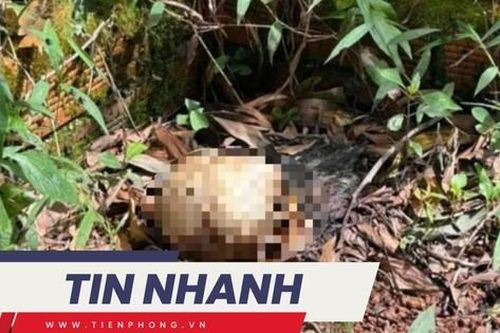TIN NHANH: 2 thi thể không nguyên vẹn trong nghĩa trang; Messi bị ảnh hưởng bởi siêu bão Milton