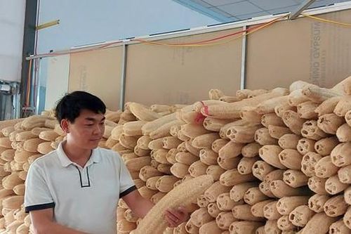 Làm giàu từ... xơ mướp