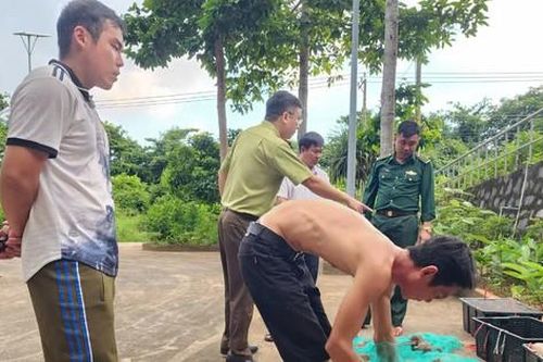 Người đàn ông vận chuyển 17 cá thể động vật quý hiếm ở Côn Đảo bị xử lý thế nào?
