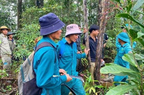 Tìm thấy người phụ nữ đi lạc 3 ngày trong rừng sâu