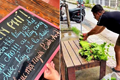 Cha con ở miền Tây trồng rau sạch tặng người đi đường