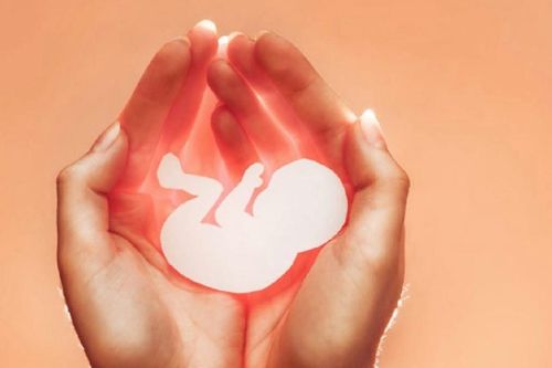 Mỹ trưng cầu dân ý về phá thai trên cùng lá phiếu bầu tổng thống