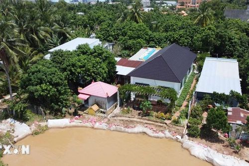 Đồng Tháp: Công bố tình huống khẩn cấp sạt lở bờ sông Tiền