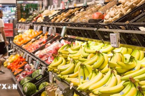 Kinh tế Đức đối mặt cuộc suy thoái kéo dài hai năm
