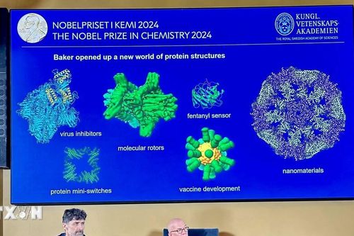 Nobel 2024: Demis Hassabis, từ kỳ thủ cờ vua nhí đến nhà tiên phong về AI