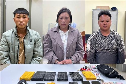 Nhiều lực lượng phối hợp phá chuyên án ma túy số lượng lớn qua biên giới