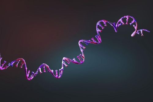 Trí tuệ nhân tạo: AI phát hiện hơn 160.000 loại virus mới