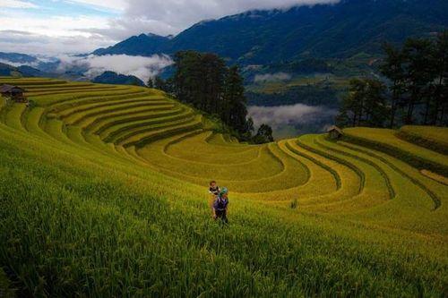 Xao xuyến trước vẻ đẹp mùa thu miền Bắc