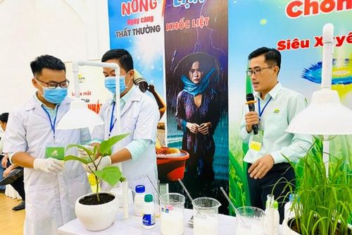 Giải pháp cho cây lúa đạt năng suất cao trong điều kiện thời tiết cực đoan