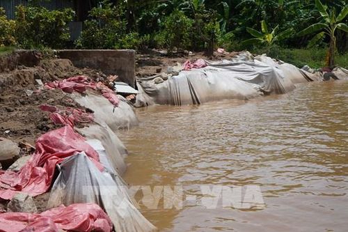 Công bố tình huống khẩn cấp sạt lở bờ sông Tiền