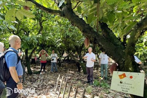 Câu lạc bộ Cacao ASEAN thăm nhà máy chế biến ca cao Trọng Đức