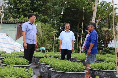 Bí thư Tỉnh ủy Lê Quốc Phong thăm nông dân trồng hoa, kiểng Tết