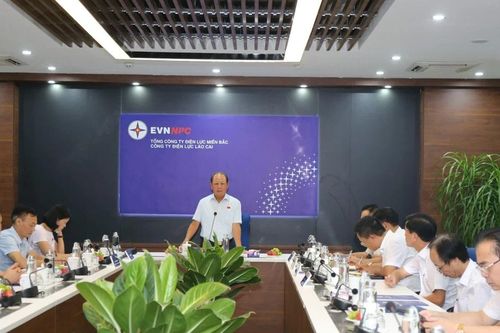 Đoàn đại biểu Quốc hội tỉnh làm việc tại Công ty Điện lực Lào Cai